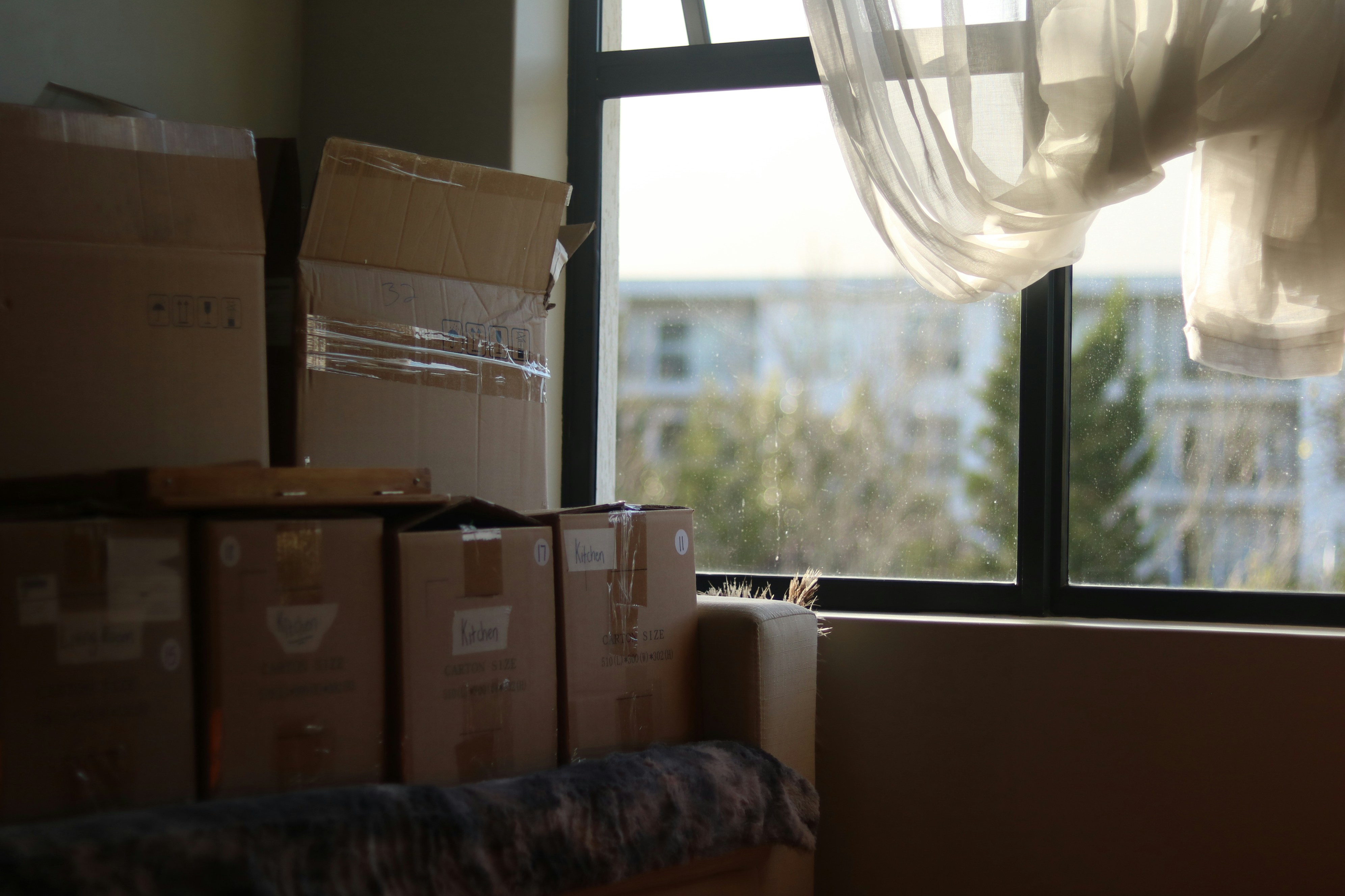 Meta Title: Why Urban Relocations Have Become More Complicated Than Ever