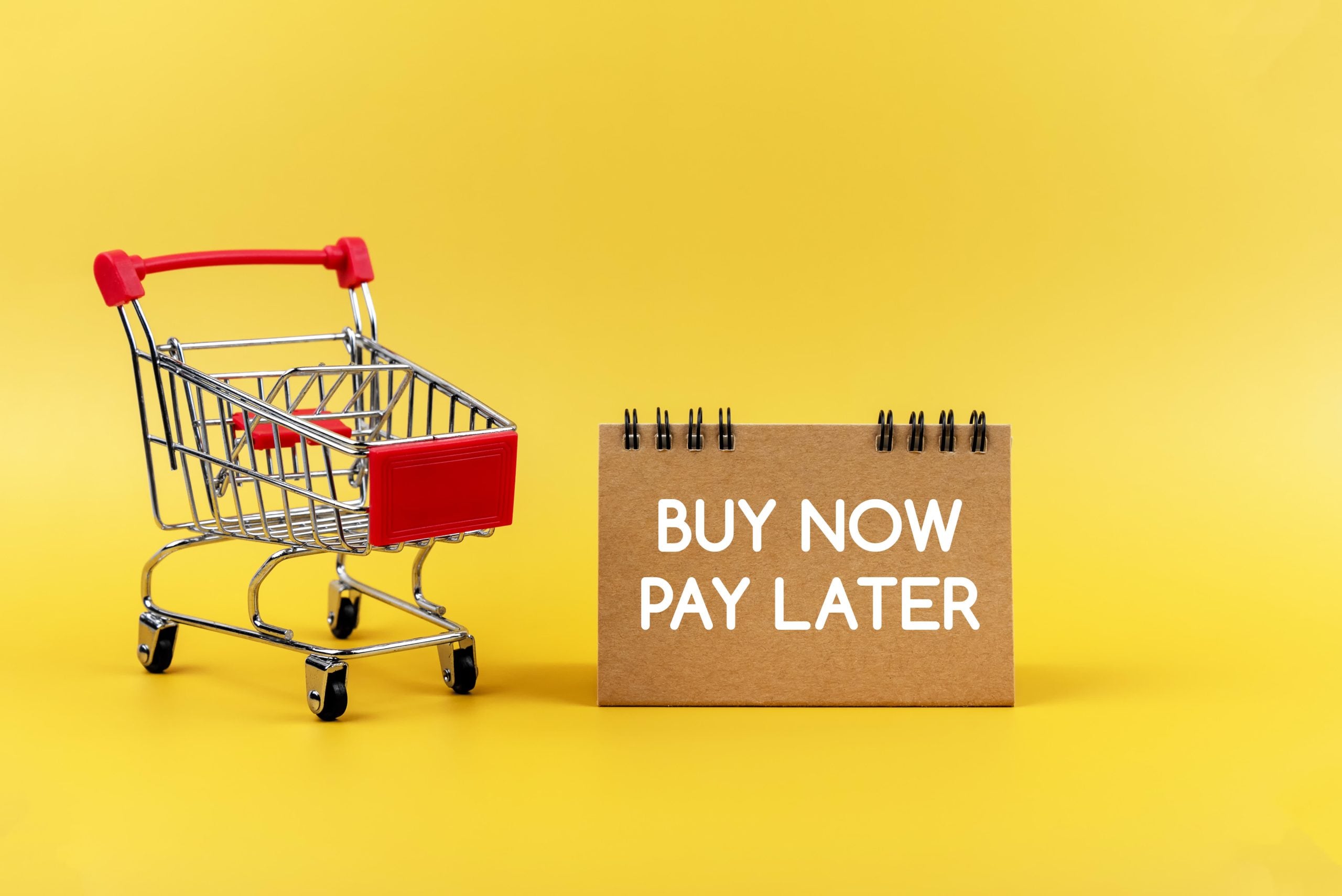 How Buy Now Pay Later Rewired The Way Young Adults Think About Money